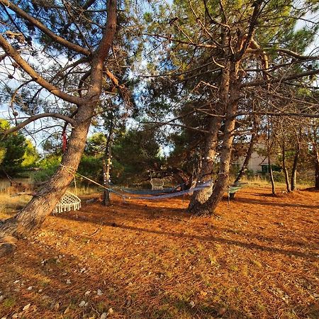 Apartmani Bellevue Vir Extérieur photo