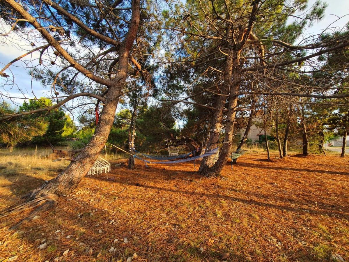 Apartmani Bellevue Vir Extérieur photo
